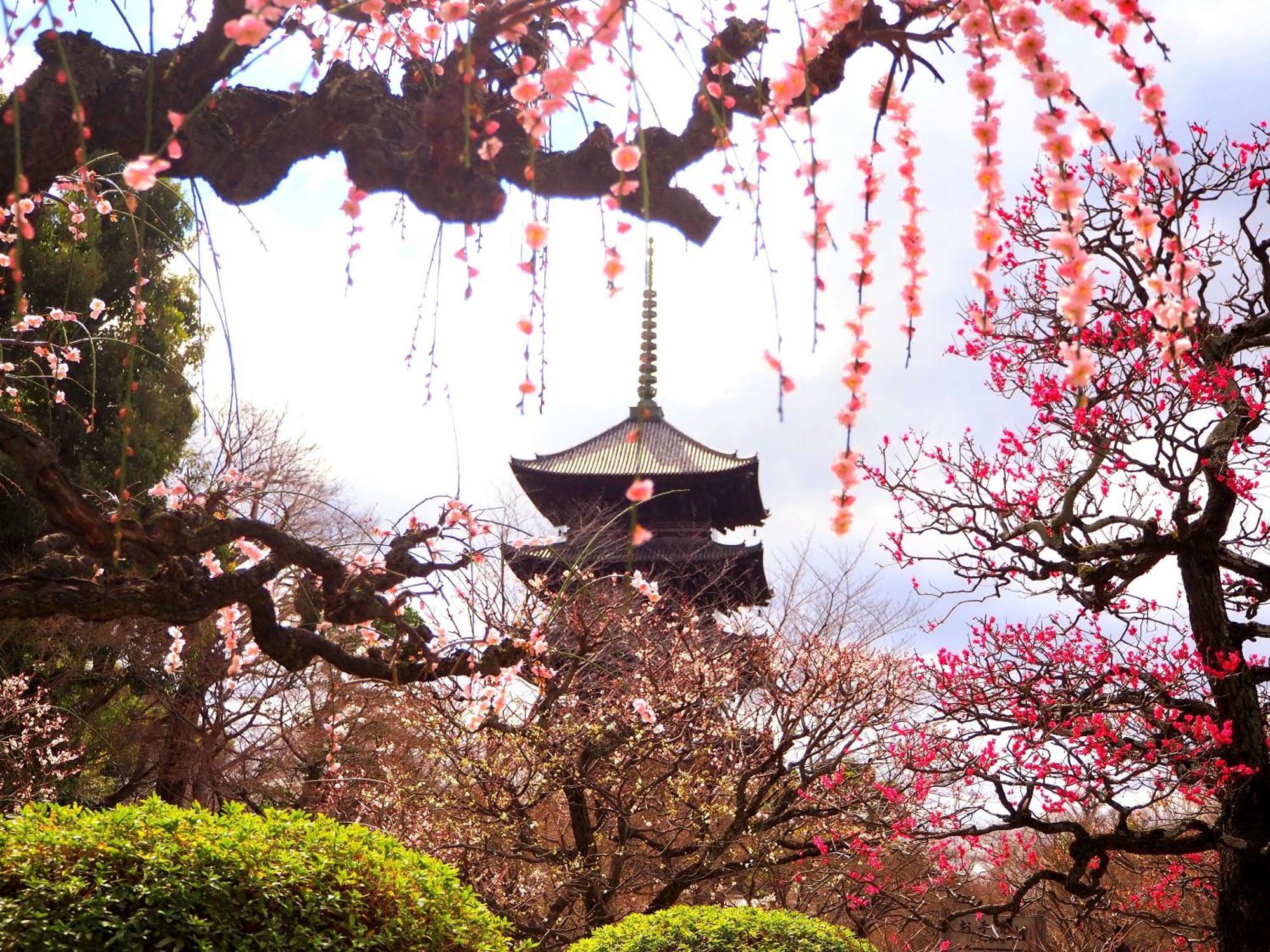 Stay Sakura Kyoto Higashi Hongan-Ji I Exterior photo